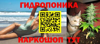 эйфоретик Саяногорск