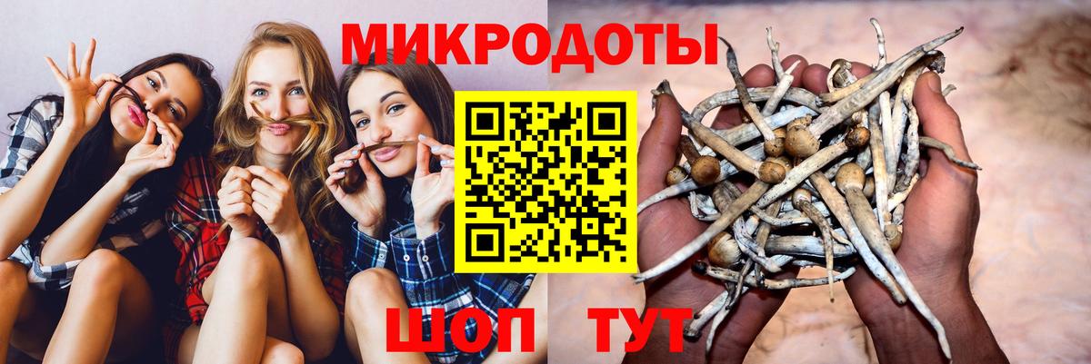 дарнет шоп  Псилоцибиновые грибы мицелий  Вход с VPN  Богородицк  Псилоцибиновые грибы Cubensis 